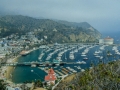 Catalina - vista città e porto 9